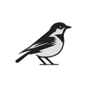 Sparrow Agency